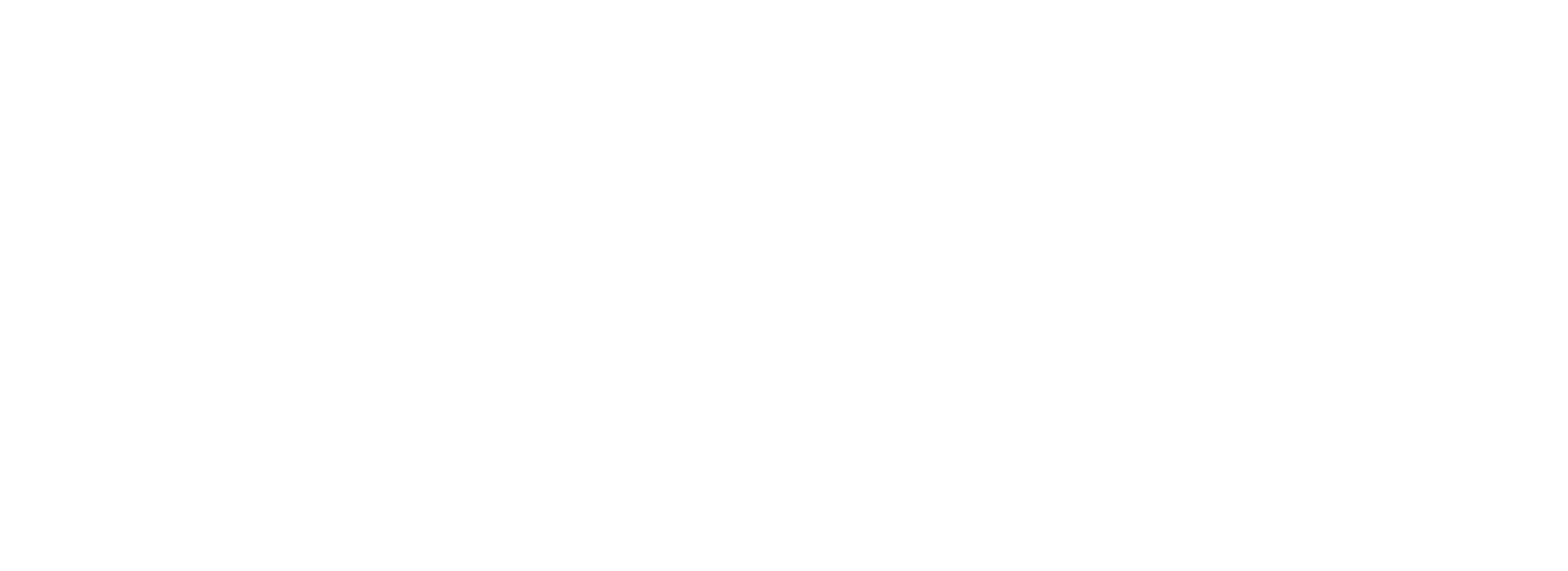 NailGO Logo